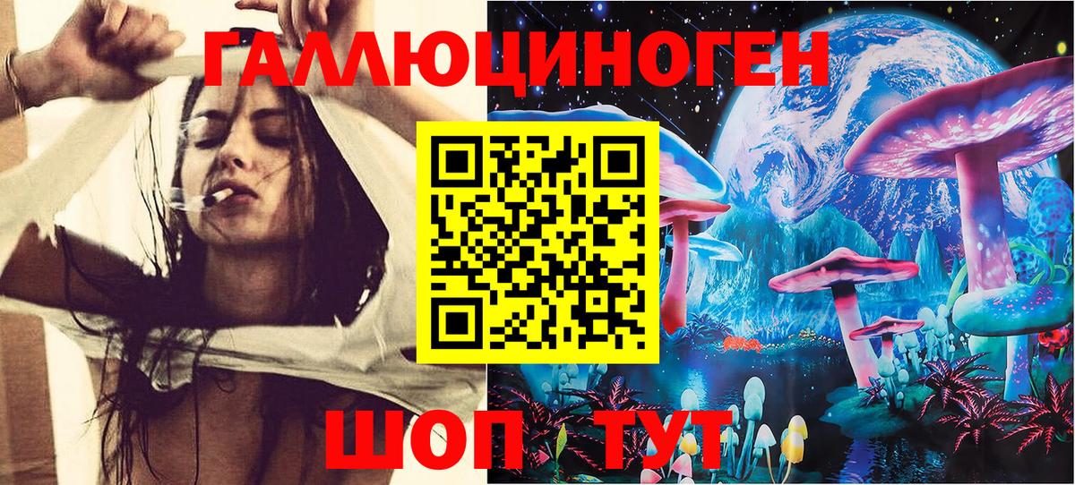 Галлюциногенные грибы Cubensis  Вход с VPN  Малоярославец  Галлюциногенные грибы Psilocybine cubensis 